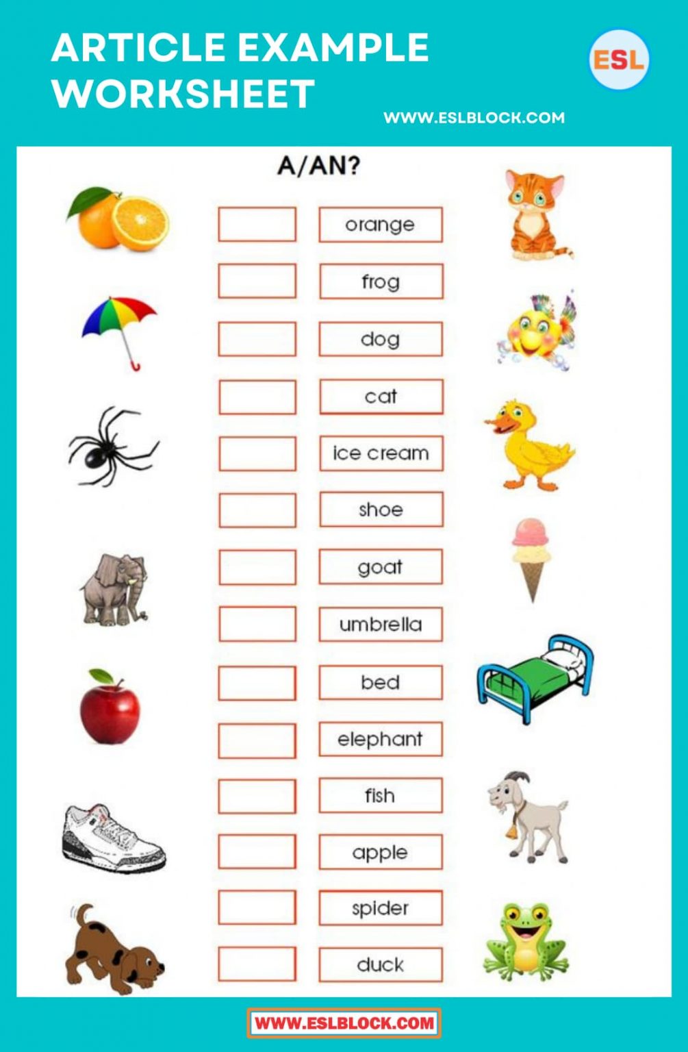 Definite and indefinite articles Worksheet - English as a Second Language