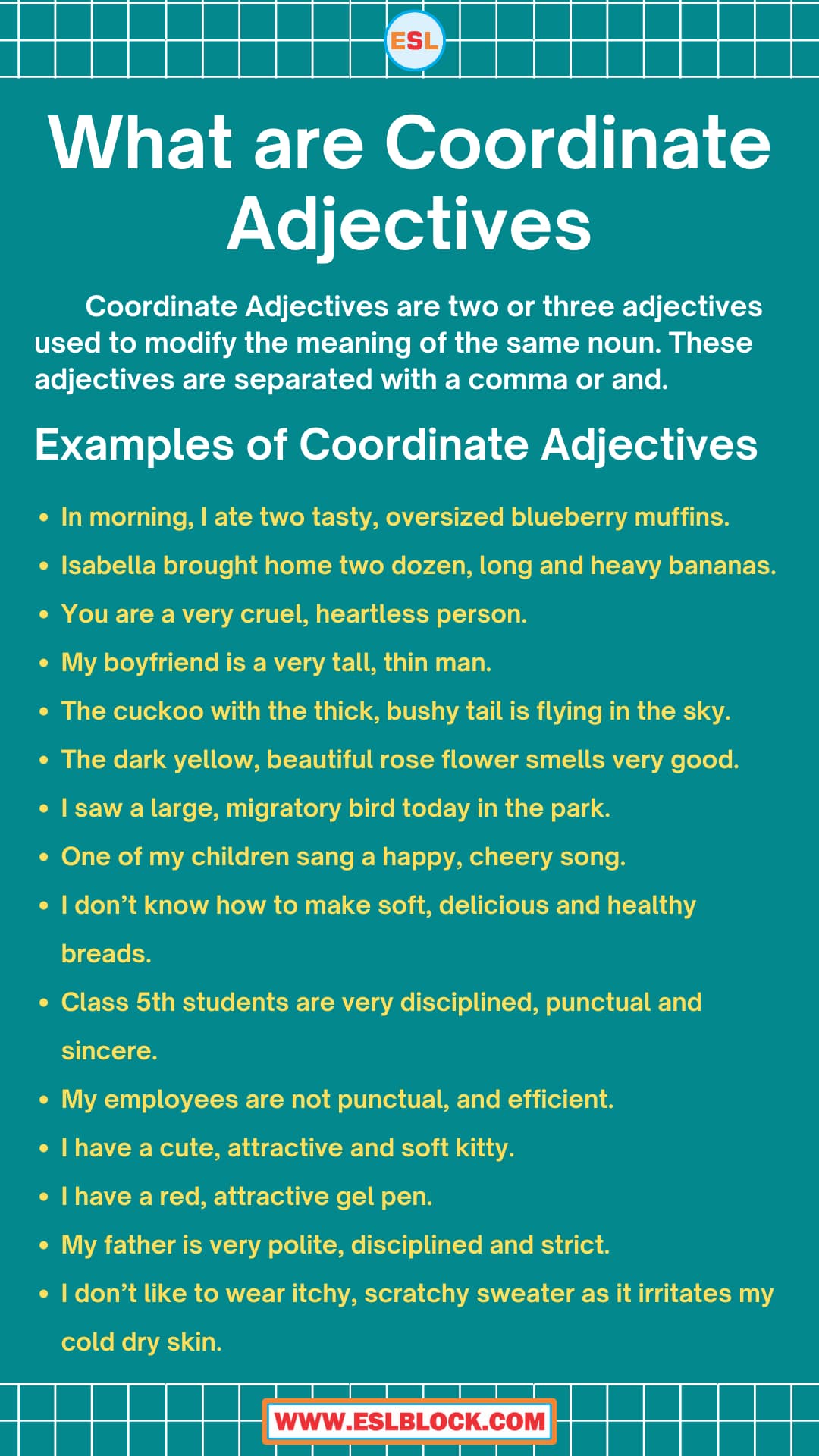 Adjective Words, Adjectives, Coordinate Adjectives, How to Make Coordinate Adjectives, Sentence Examples of Coordinates Adjectives, What are Coordinate Adjectives, What are Coordinate Adjectives in English Grammar