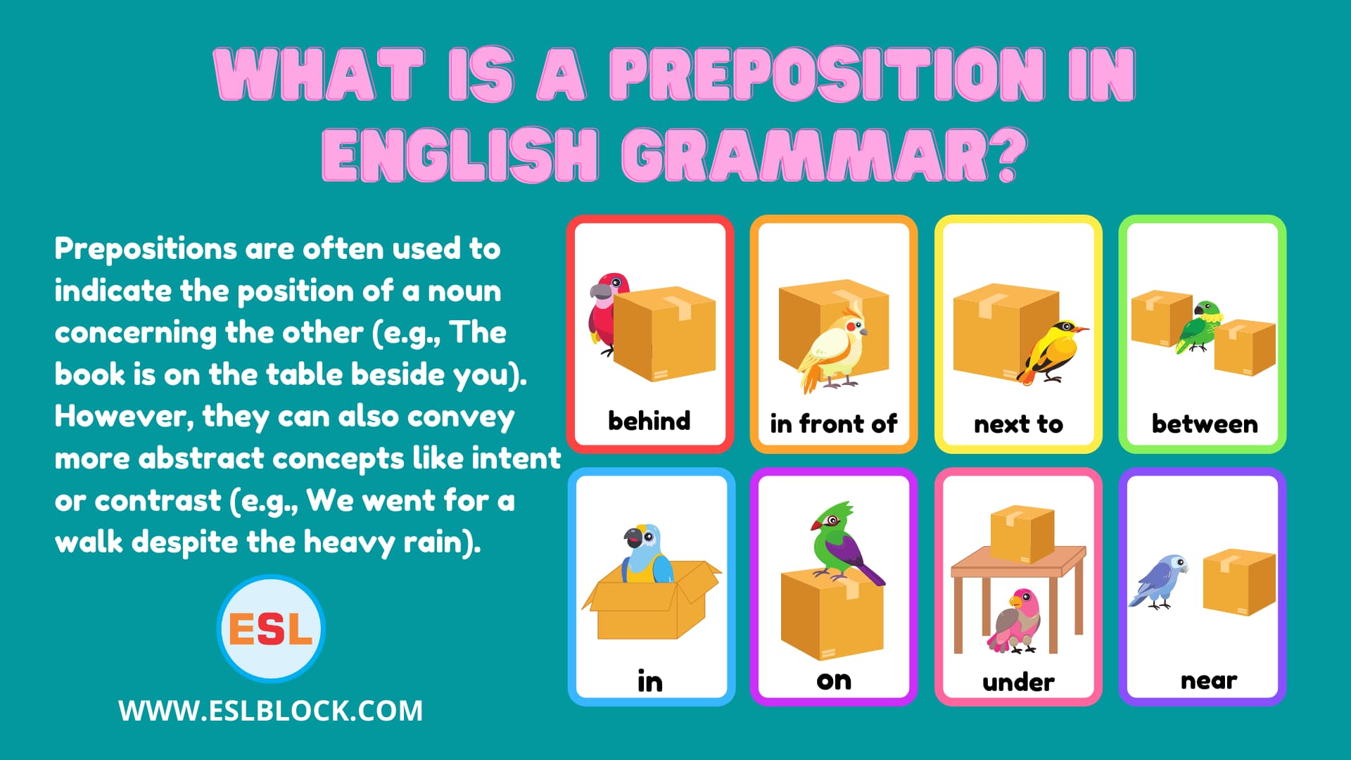 Common Errors with Prepositions, English Grammar, How to Use Prepositions, Parts of Speech, Parts of Speech in English Grammar, Preposition Definition, Preposition Examples, Preposition Rules, Prepositions of Movement, Prepositions of Place, Prepositions of Time and Place, Prepositions Used in Sentences, The Importance of Prepositions, Types of Prepositions, What is a Preposition