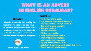 A Super Simple Guide to Adverbs, Adverb Definition, Adverb Examples, Adverb of Certainty, Adverb of Degree, Adverb of Manner, Adverb of Place, Adverb of Time, Adverb Rules, Adverbs of Attitude, Adverbs of Judgement, Adverbs Used in Sentences, Adverbs with Examples, Adverbs with Verbs, Conjunctive Adverb, English Grammar, How to Use Adverbs, Parts of Speech, Parts of Speech in English Grammar, The Importance of Adverbs, Types of Adverbs, What is an Adverb