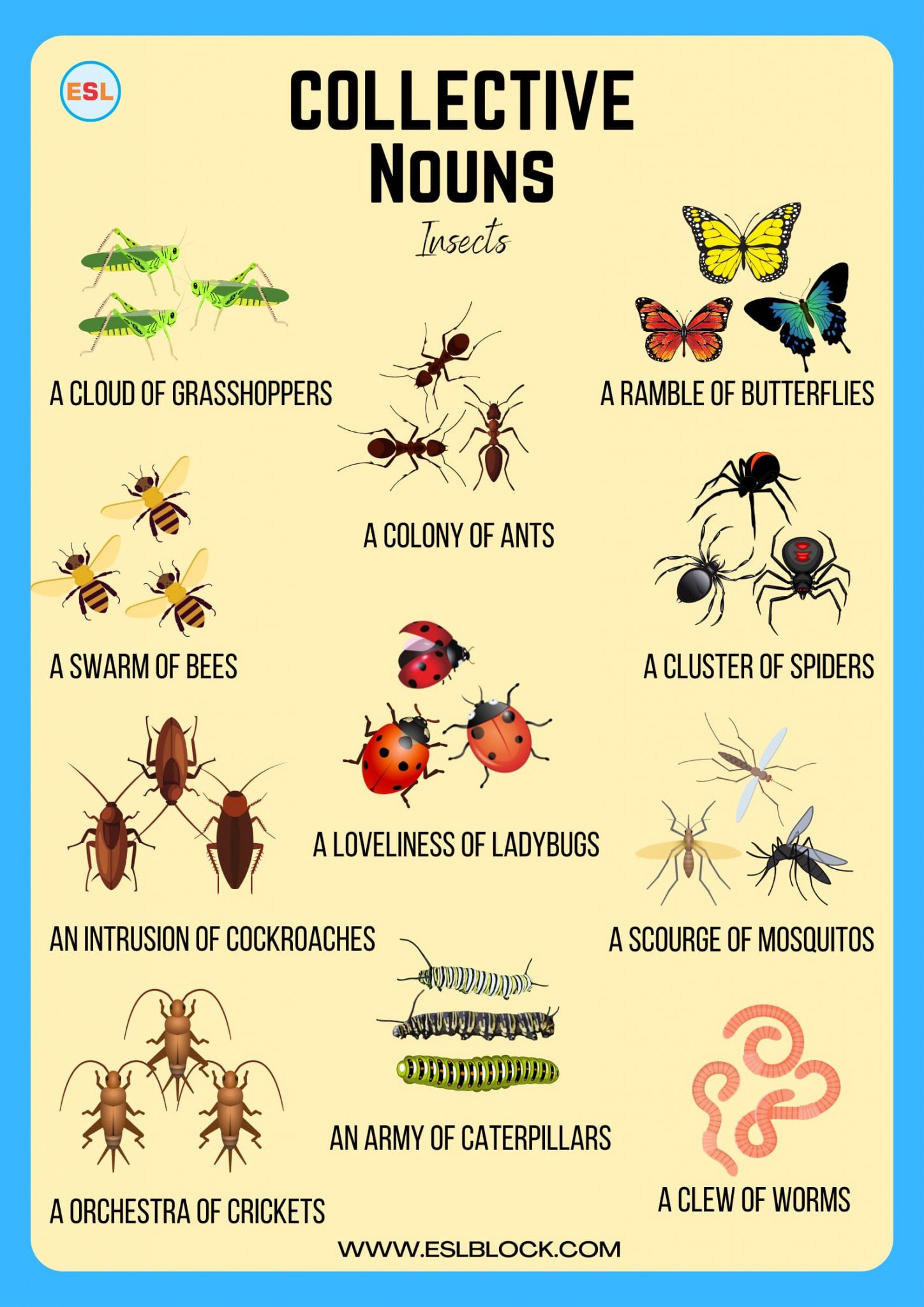 Collective Nouns in English with Example Sentences English as a