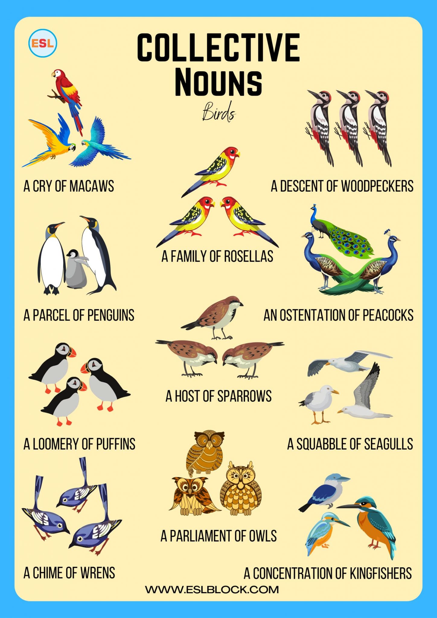 Collective Nouns in English with Example Sentences - English as a ...