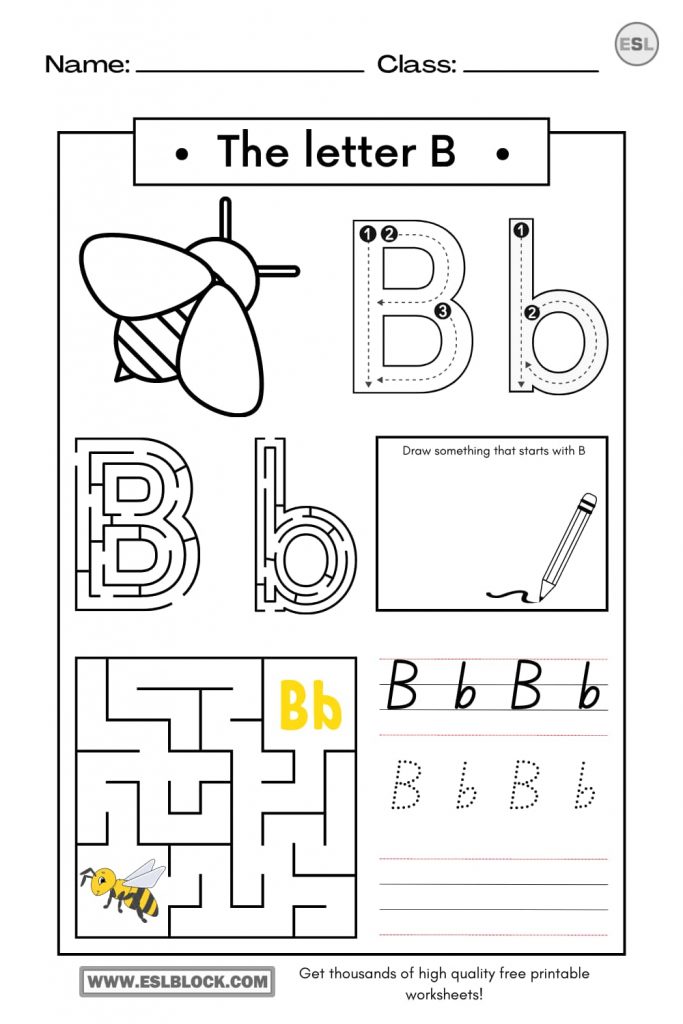 Tracing the Letter B Worksheets - English as a Second Language