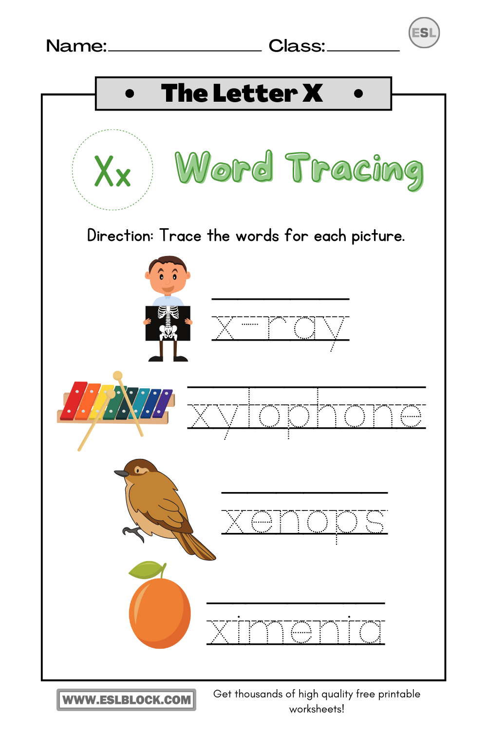 Alphabet X Printable Worksheets, Free Worksheets, Kindergarten Worksheets, Letter X Printable Worksheets, Preschool Worksheets, Tracing the Letter X, Tracing the letter X Printable, Tracing the Letter X Worksheets, Tracing Worksheets, Worksheets