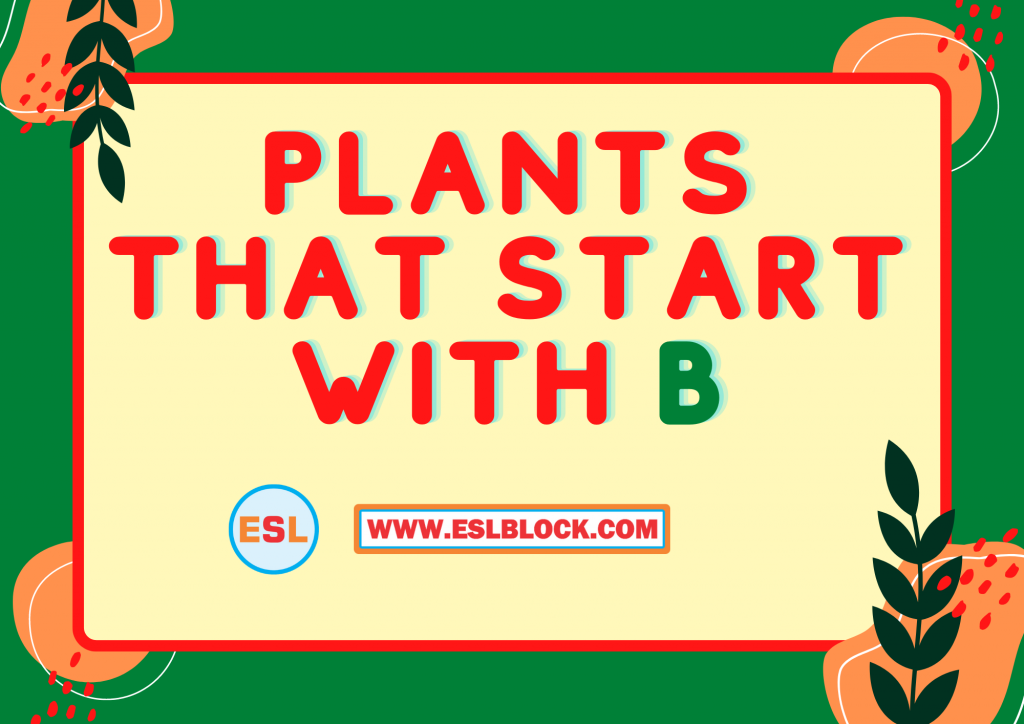 Plants That Start With B - English As A Second Language