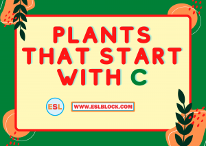 4 Letter Plants, 5 Letter Plants Starting With C, C Plants, C Plants in English, C Plants Names, English, English Grammar, English Vocabulary, English Words, List of Plants That Start With C, Plants List, Plants Names, Plants That Start With C, Vocabulary, Words That Start With C