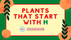 4 Letter Plants, 5 Letter Plants Starting With H, English, English Grammar, English Vocabulary, English Words, H Plants, H Plants in English, H Plants Names, List of Plants That Start With H, Plants List, Plants Names, Plants That Start With H, Vocabulary, Words That Start With H