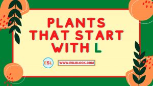 4 Letter Plants, 5 Letter Plants Starting With L, English, English Grammar, English Vocabulary, English Words, L Plants, L Plants in English, L Plants Names, List of Plants That Start With L, Plants List, Plants Names, Plants That Start With L, Vocabulary, Words That Start With L