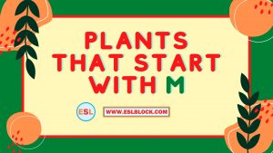 4 Letter Plants, 5 Letter Plants Starting With M, English, English Grammar, English Vocabulary, English Words, List of Plants That Start With M, M Plants, M Plants in English, M Plants Names, Plants List, Plants Names, Plants That Start With M, Vocabulary, Words That Start With M