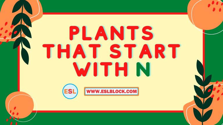4 Letter Plants, 5 Letter Plants Starting With N, English, English Grammar, English Vocabulary, English Words, List of Plants That Start With N, N Plants, N Plants in English, N Plants Names, Plants List, Plants Names, Plants That Start With N, Vocabulary, Words That Start With N