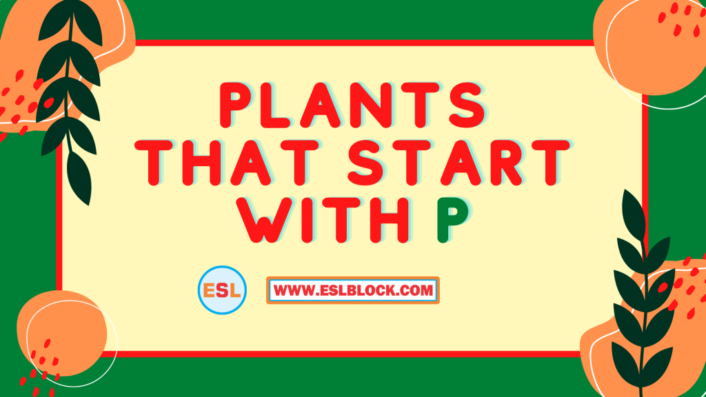 plants-that-start-with-p-english-as-a-second-language