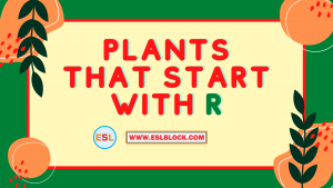 4 Letter Plants, 5 Letter Plants Starting With R, English, English Grammar, English Vocabulary, English Words, List of Plants That Start With R, Plants List, Plants Names, Plants That Start With R, R Plants, R Plants in English, R Plants Names, Vocabulary, Words That Start With R