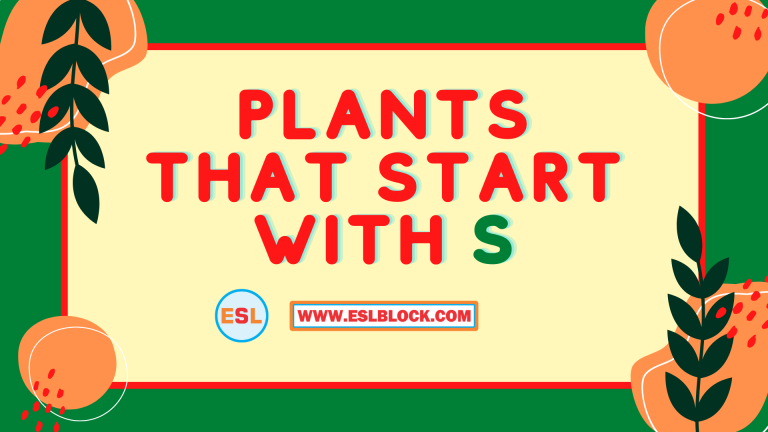 4 Letter Plants, 5 Letter Plants Starting With S, English, English Grammar, English Vocabulary, English Words, List of Plants That Start With S, Plants List, Plants Names, Plants That Start With S, S Plants, S Plants in English, S Plants Names, Vocabulary, Words That Start With S