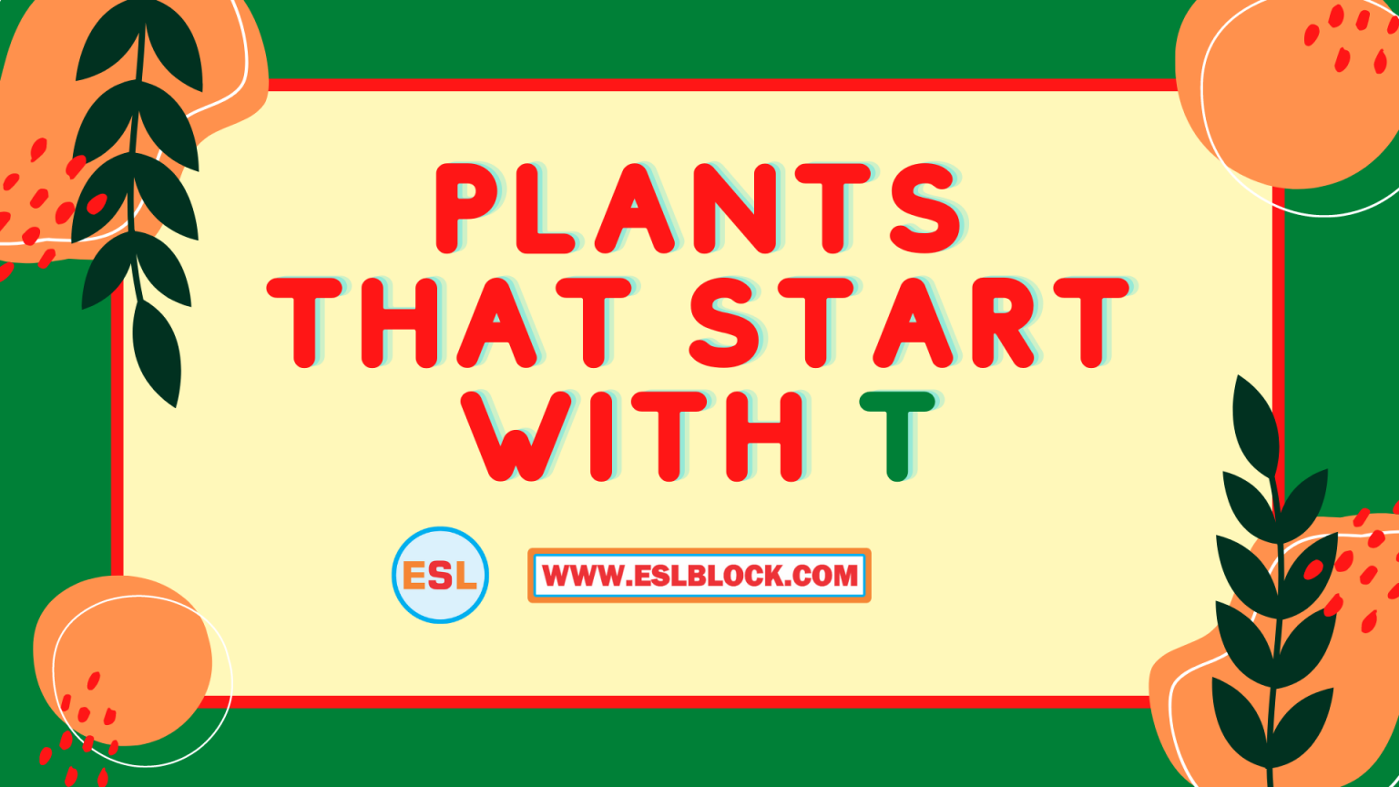 plants-that-start-with-t-english-as-a-second-language