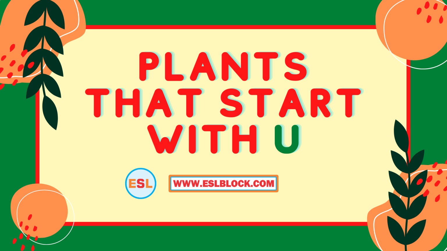 plants-that-start-with-u-archives-english-as-a-second-language