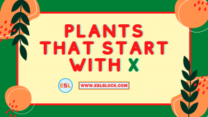 4 Letter Plants, 5 Letter Plants Starting With X, English, English Grammar, English Vocabulary, English Words, List of Plants That Start With X, Plants List, Plants Names, Plants That Start With X, Vocabulary, Words That Start With X, X Plants, X Plants in English, X Plants Names
