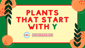 4 Letter Plants, 5 Letter Plants Starting With Y, English, English Grammar, English Vocabulary, English Words, List of Plants That Start With Y, Plants List, Plants Names, Plants That Start With Y, Vocabulary, Words That Start With Y, Y Plants, Y Plants in English, Y Plants Names