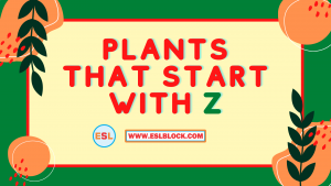 4 Letter Plants, 5 Letter Plants Starting With Z, English, English Grammar, English Vocabulary, English Words, List of Plants That Start With Z, Plants List, Plants Names, Plants That Start With Z, Vocabulary, Words That Start With Z, Z Plants, Z Plants in English, Z Plants Names