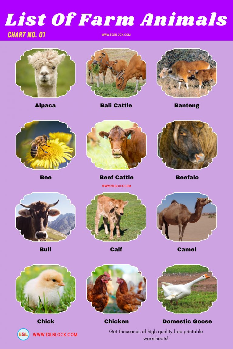 List Of Farm Animals Different Types of Farm Animals English as a Second Language