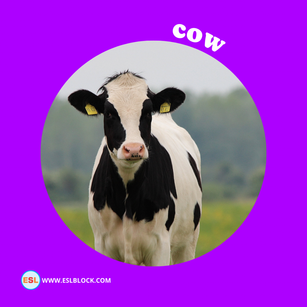 Animals Names, Best farm animals, Big farm animals, Cute farm animals, Different Types of farm animals, English, English Nouns, English Vocabulary, English Words, farm animals, farm animals List, List of cute farm animals, Medium farm animals, Nouns, Small farm animals, Vocabulary