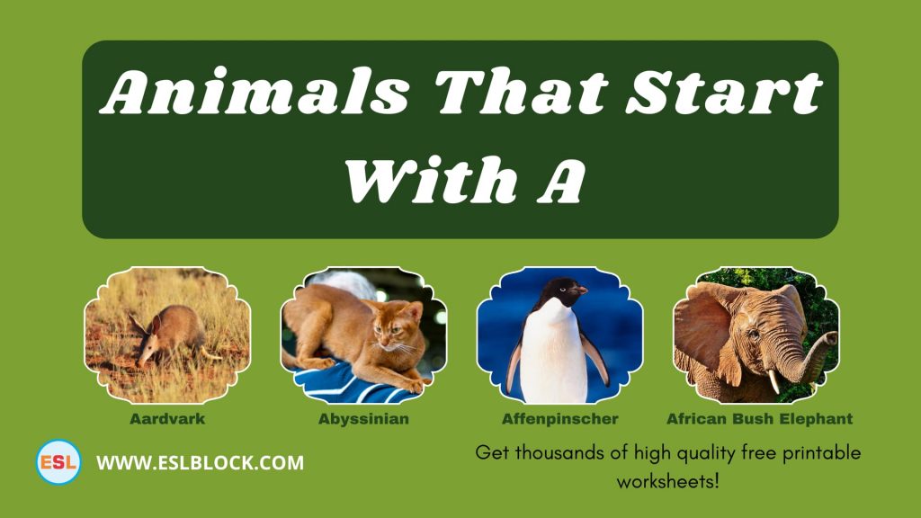 Animals That Start With A English as a Second Language