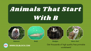 5 Letter Animals Starting With B, Animals List, Animals Names, Animals That Begins With B, Animals That Start With B, B Animals, B Animals in English, B Animals Names, English, English Nouns, English Vocabulary, English Words, List of Animals That Start With B, Nouns, Vocabulary