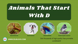 5 Letter Animals Starting With D, Animals List, Animals Names, Animals That Begins With D, Animals That Start With D, D Animals, D Animals in English, D Animals Names, English, English Nouns, English Vocabulary, English Words, List of Animals That Start With D, Nouns, Vocabulary