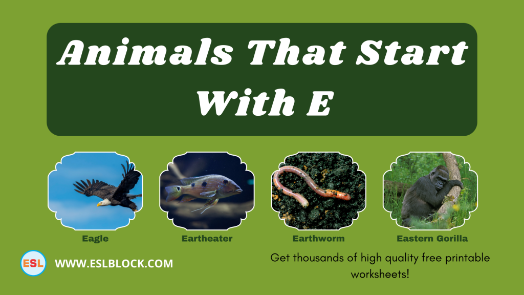 animals-that-start-with-e-english-as-a-second-language