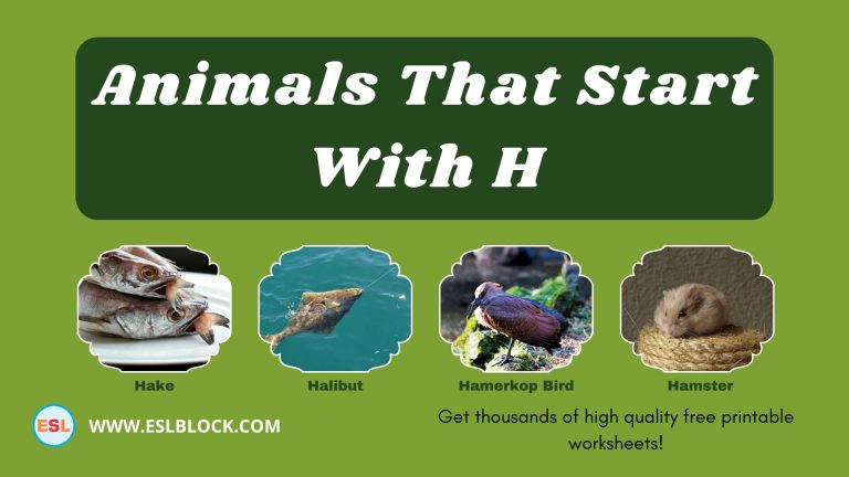 5 Letter Animals Starting With H, Animals List, Animals Names, Animals That Begins With H, Animals That Start With H, English, English Nouns, English Vocabulary, English Words, H Animals, H Animals in English, H Animals Names, List of Animals That Start With H, Nouns, Vocabulary