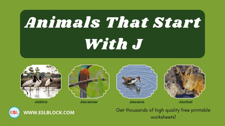5 Letter Animals Starting With J, Animals List, Animals Names, Animals That Begins With J, Animals That Start With J, English, English Nouns, English Vocabulary, English Words, J Animals, J Animals in English, J Animals Names, List of Animals That Start With J, Nouns, Vocabulary