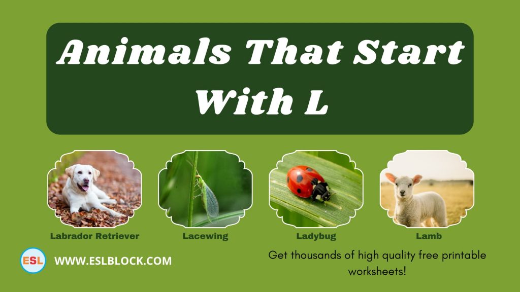 Animals That Start With L English as a Second Language
