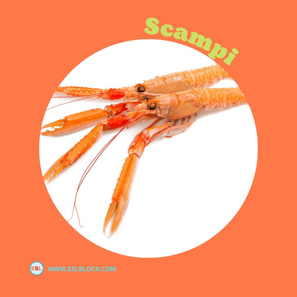 Animals Names, Best Crustaceans, Crustaceans, Crustaceans List, Different Types of Crustaceans, English, English Nouns, English Vocabulary, English Words, Hunting Crustaceans, List of Crustaceans, Medium Crustaceans, Small Crustaceans, Vocabulary