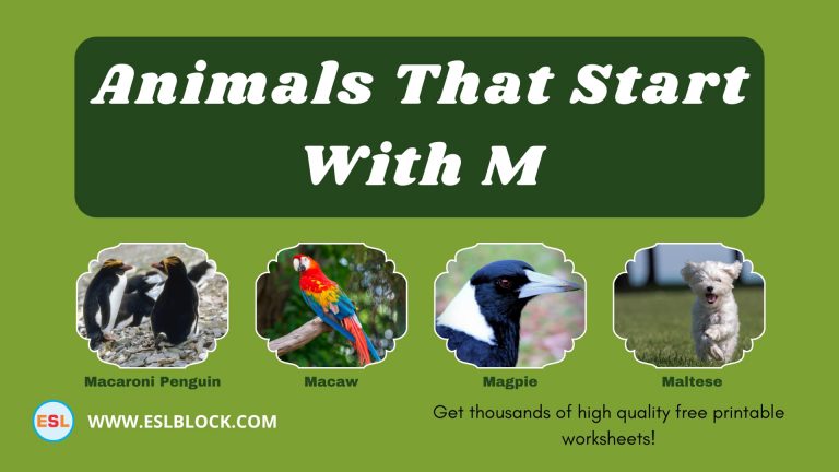 5 Letter Animals Starting With M, Animals List, Animals Names, Animals That Begins With M, Animals That Start With M, English, English Nouns, English Vocabulary, English Words, List of Animals That Start With M, M Animals, M Animals in English, M Animals Names, Nouns, Vocabulary
