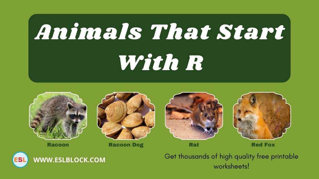 Animals That Start With R English as a Second Language