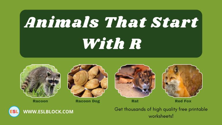 5 Letter Animals Starting With R, Animals List, Animals Names, Animals That Begins With R, Animals That Start With R, English, English Nouns, English Vocabulary, English Words, List of Animals That Start With R, Nouns, R Animals, R Animals in English, R Animals Names, Vocabulary