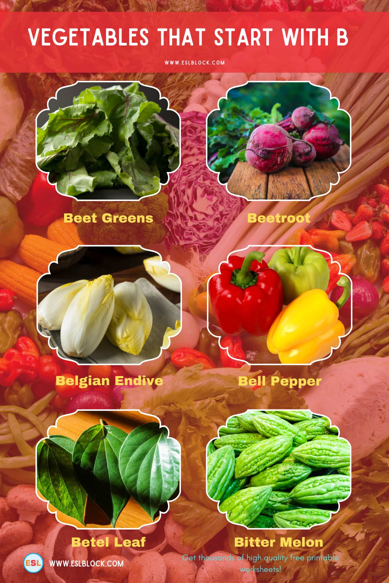 Vegetables That Start With B English as a Second Language