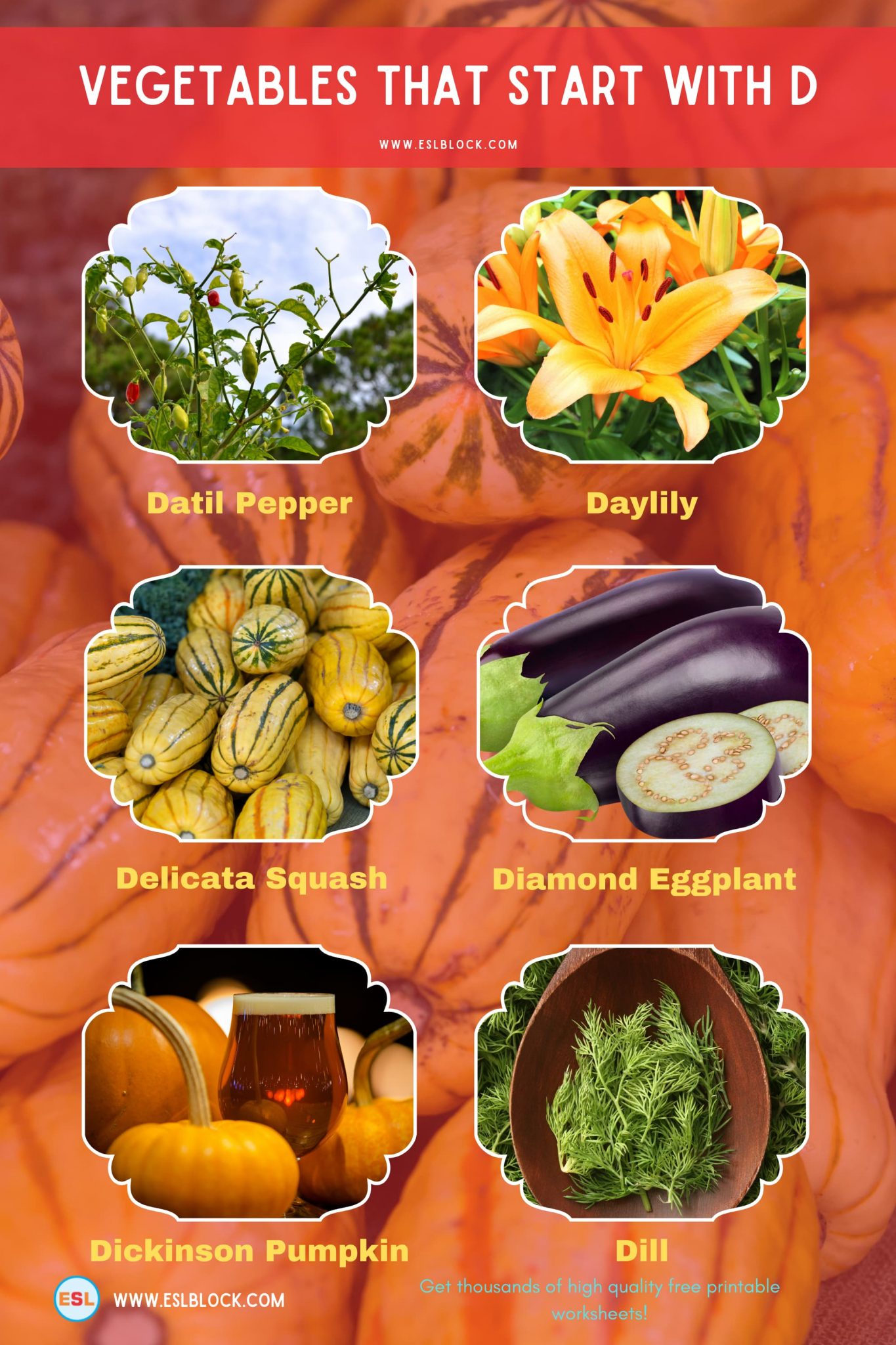Vegetables That Start With D English as a Second Language