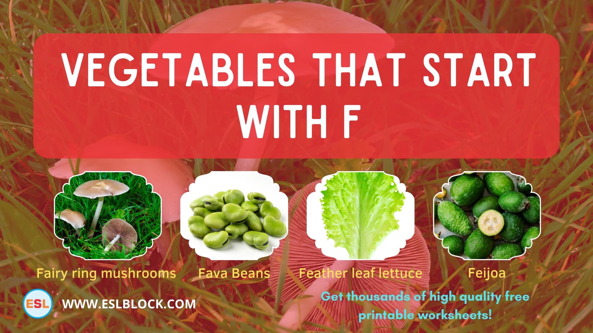 5 Letter Vegetables Starting With F, English, English Nouns, English Vocabulary, English Words, F Vegetables, F Vegetables in English, F Vegetables Names, List of Vegetables That Start With F, Nouns, Vegetables List, Vegetables Names, Vegetables That Begins With F, Vegetables That Start With F, Vocabulary