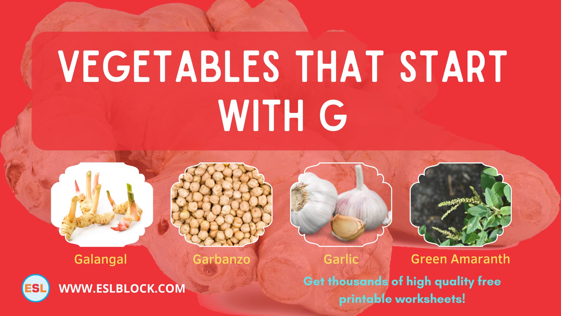 5 Letter Vegetables Starting With G, English, English Nouns, English Vocabulary, English Words, G Vegetables, G Vegetables in English, G Vegetables Names, List of Vegetables That Start With G, Nouns, Vegetables List, Vegetables Names, Vegetables That Begins With G, Vegetables That Start With G, Vocabulary