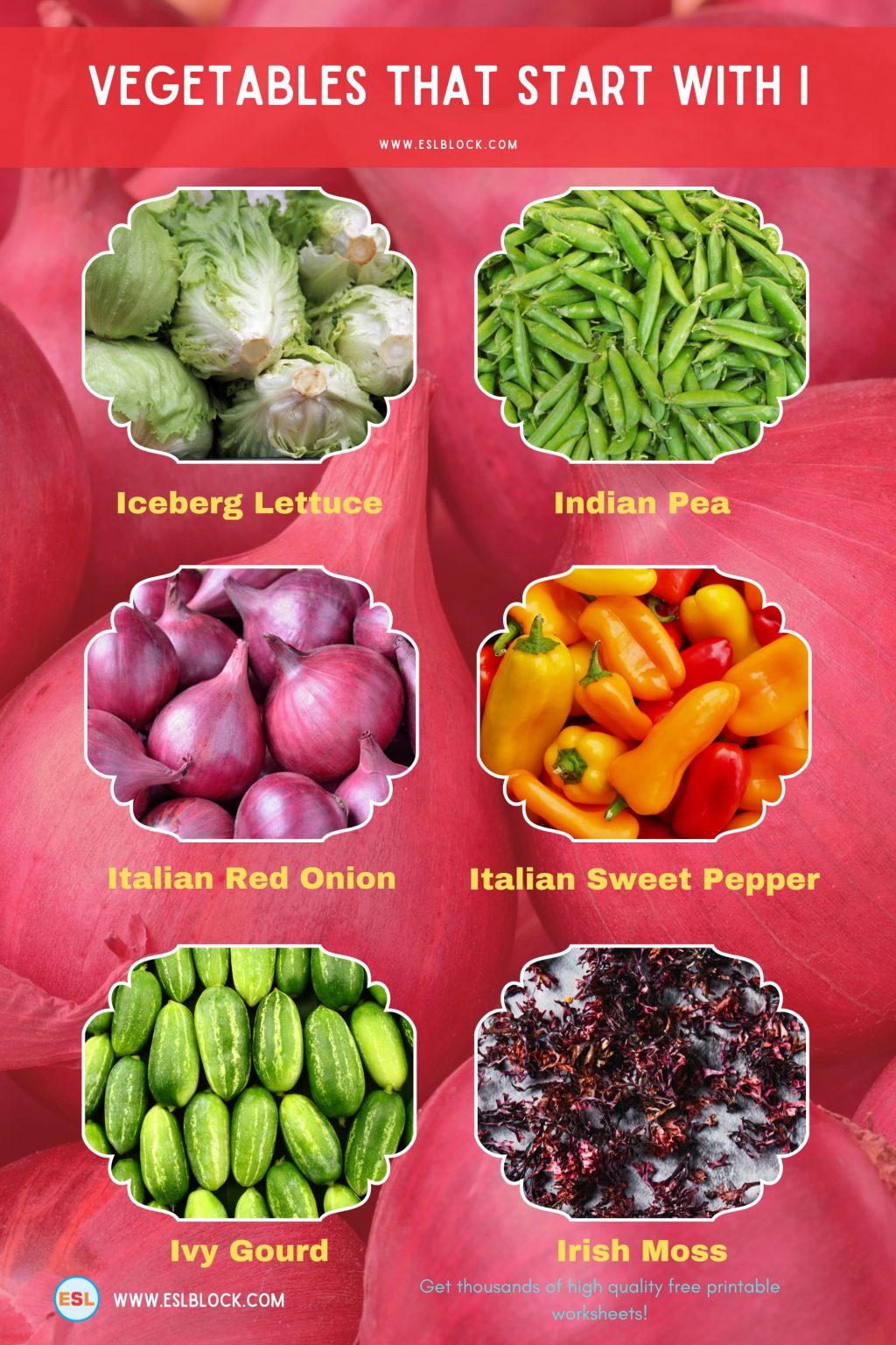 Vegetables That Start With I English as a Second Language