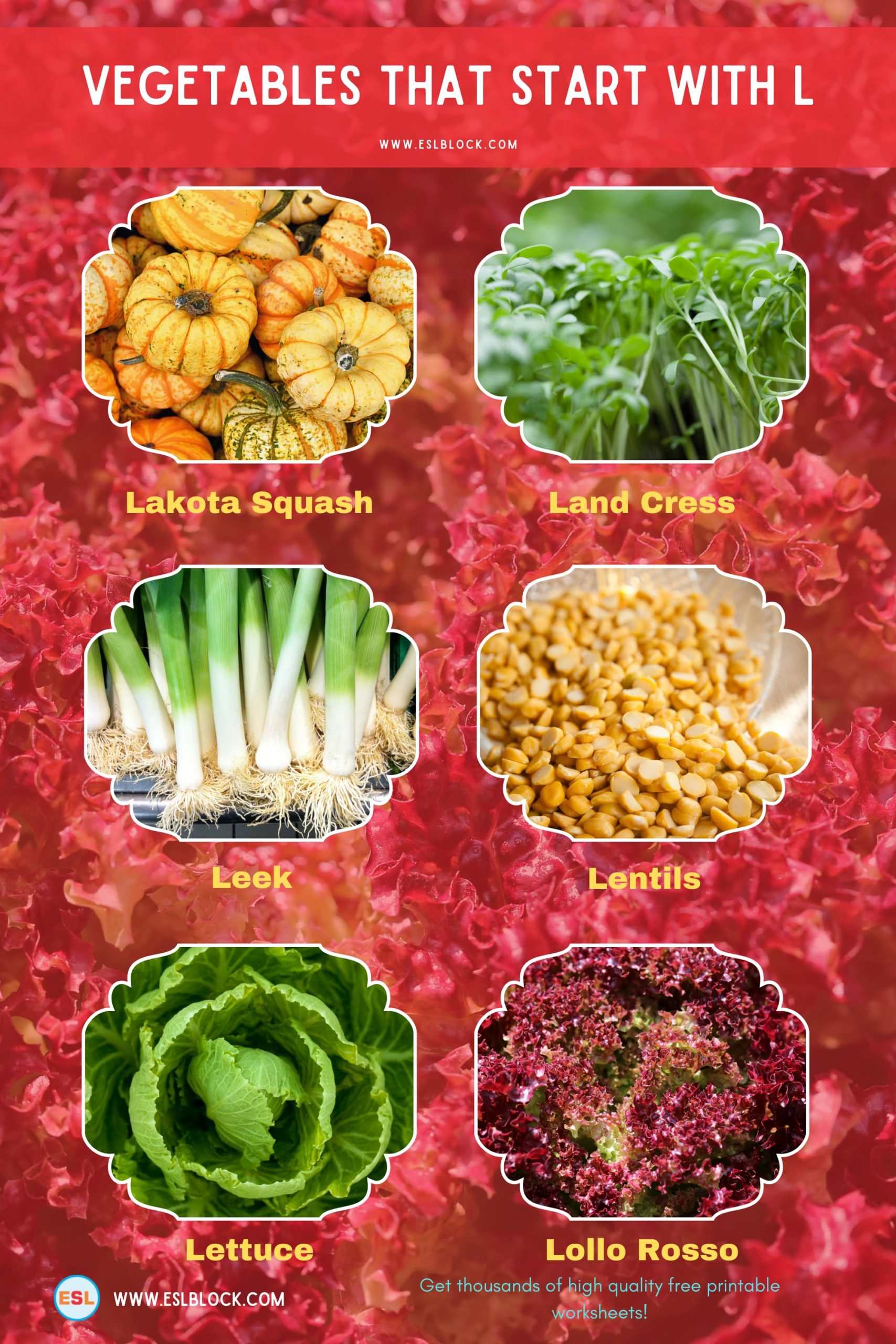 5 Letter Vegetables Starting With L, English, English Nouns, English Vocabulary, English Words, L Vegetables, L Vegetables in English, L Vegetables Names, List of Vegetables That Start With L, Nouns, Vegetables List, Vegetables Names, Vegetables That Begins With L, Vegetables That Start With L, Vocabulary