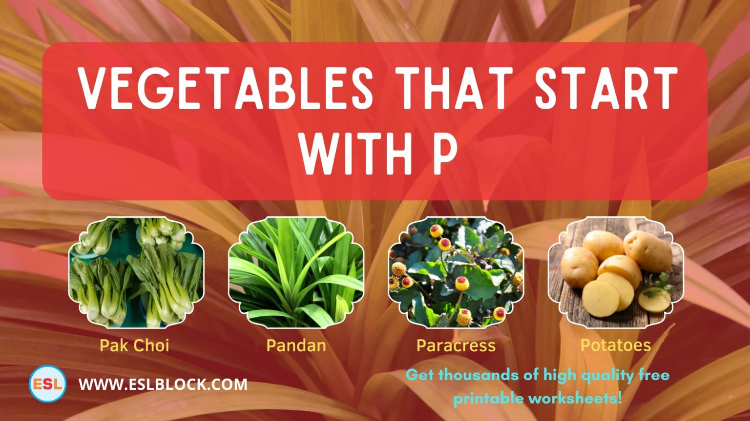 Vegetables That Start With Q English as a Second Language