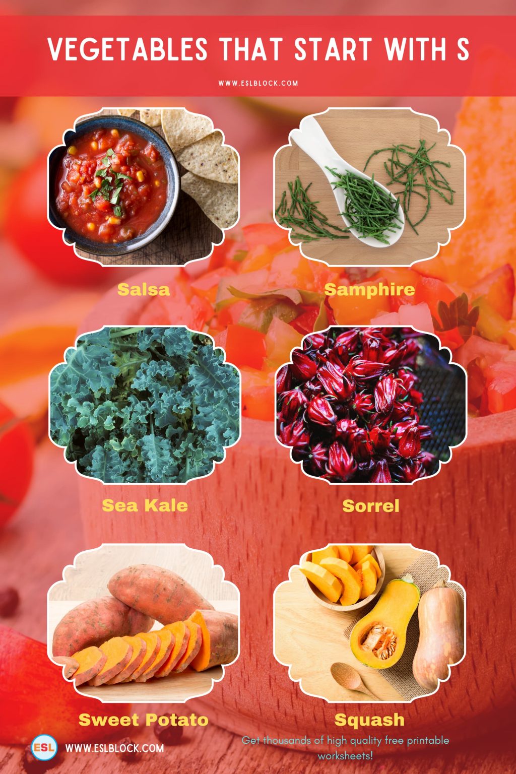 Vegetables That Start With S English as a Second Language