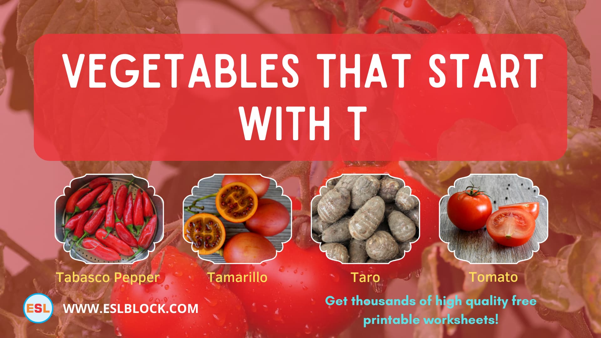 5 Letter Vegetables Starting With T, English, English Nouns, English Vocabulary, English Words, List of Vegetables That Start With T, Nouns, T Vegetables, T Vegetables in English, T Vegetables Names, Vegetables List, Vegetables Names, Vegetables That Begins With T, Vegetables That Start With T, Vocabulary