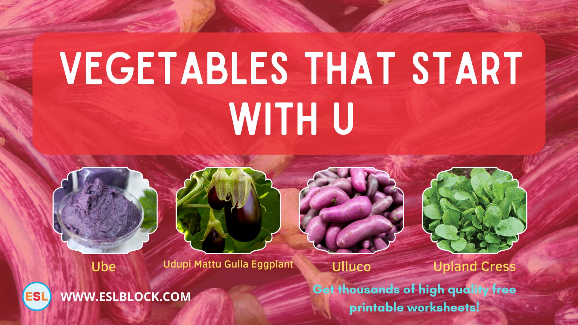 vegetables-that-start-with-u-english-as-a-second-language