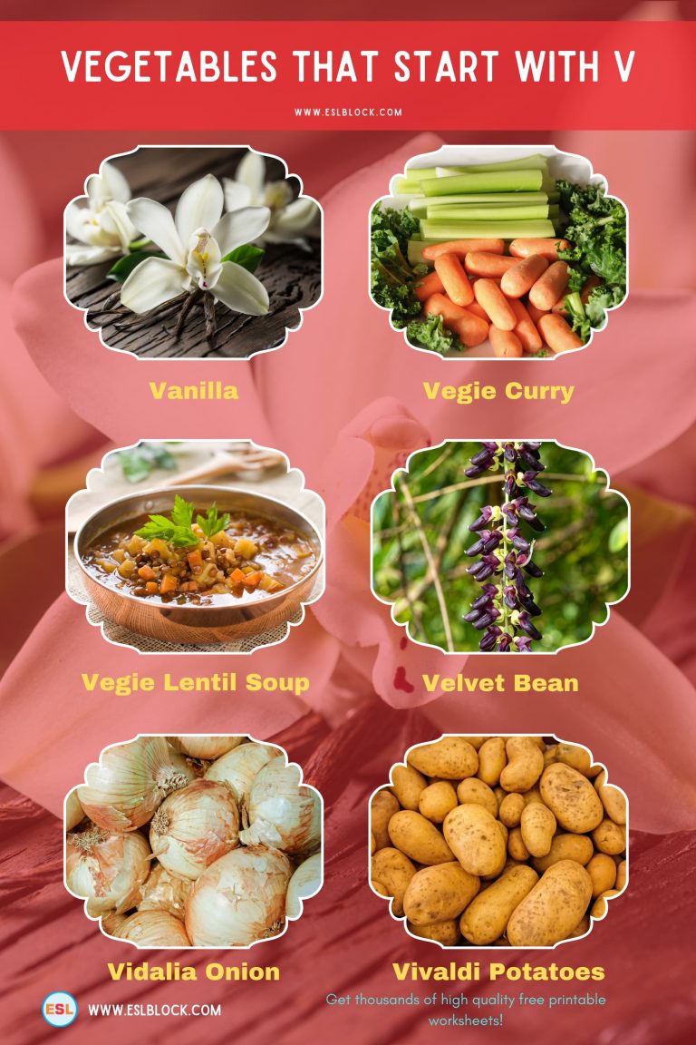 Vegetables That Start With V English as a Second Language