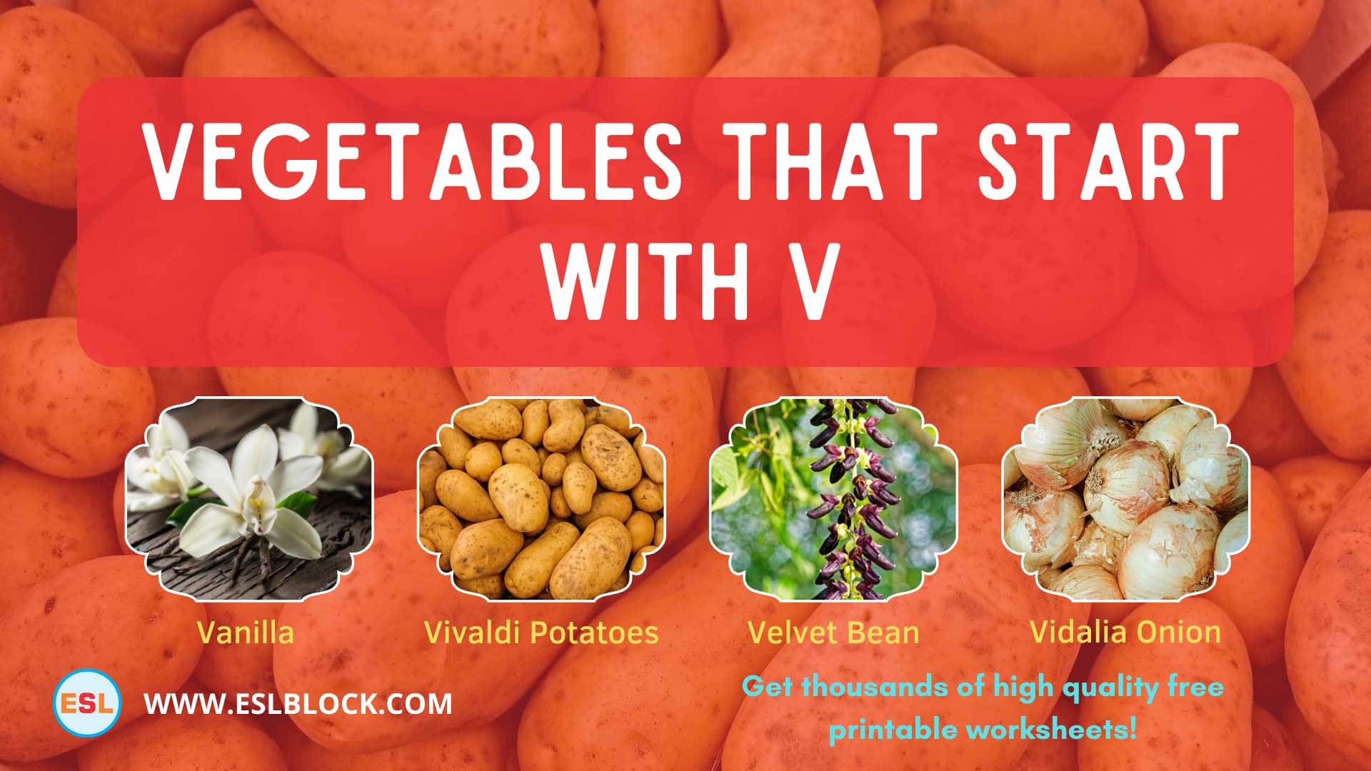5 Letter Vegetables Starting With V, English, English Nouns, English Vocabulary, English Words, List of Vegetables That Start With V, Nouns, V Vegetables, V Vegetables in English, V Vegetables Names, Vegetables List, Vegetables Names, Vegetables That Begins With V, Vegetables That Start With V, Vocabulary