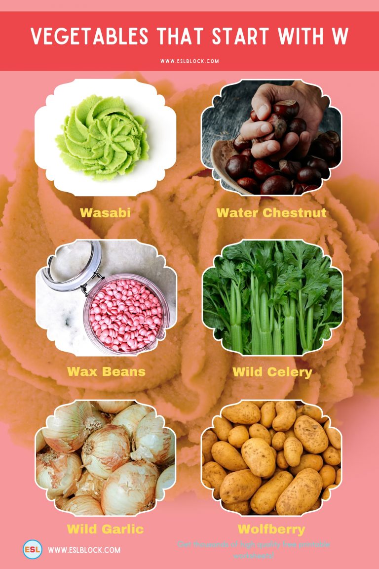 Vegetables That Start With W English as a Second Language