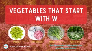 5 Letter Vegetables Starting With W, English, English Nouns, English Vocabulary, English Words, List of Vegetables That Start With W, Nouns, Vegetables List, Vegetables Names, Vegetables That Begins With W, Vegetables That Start With W, Vocabulary, W Vegetables, W Vegetables in English, W Vegetables Names