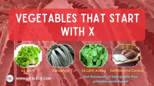 5 Letter Vegetables Starting With X, English, English Nouns, English Vocabulary, English Words, List of Vegetables That Start With X, Nouns, Vegetables List, Vegetables Names, Vegetables That Begins With X, Vegetables That Start With X, Vocabulary, X Vegetables, X Vegetables in English, X Vegetables Names